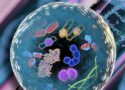 生物化学与细胞生物.png