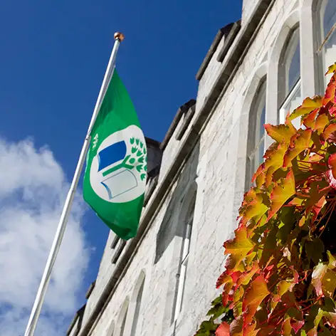 GreenFlag.webp