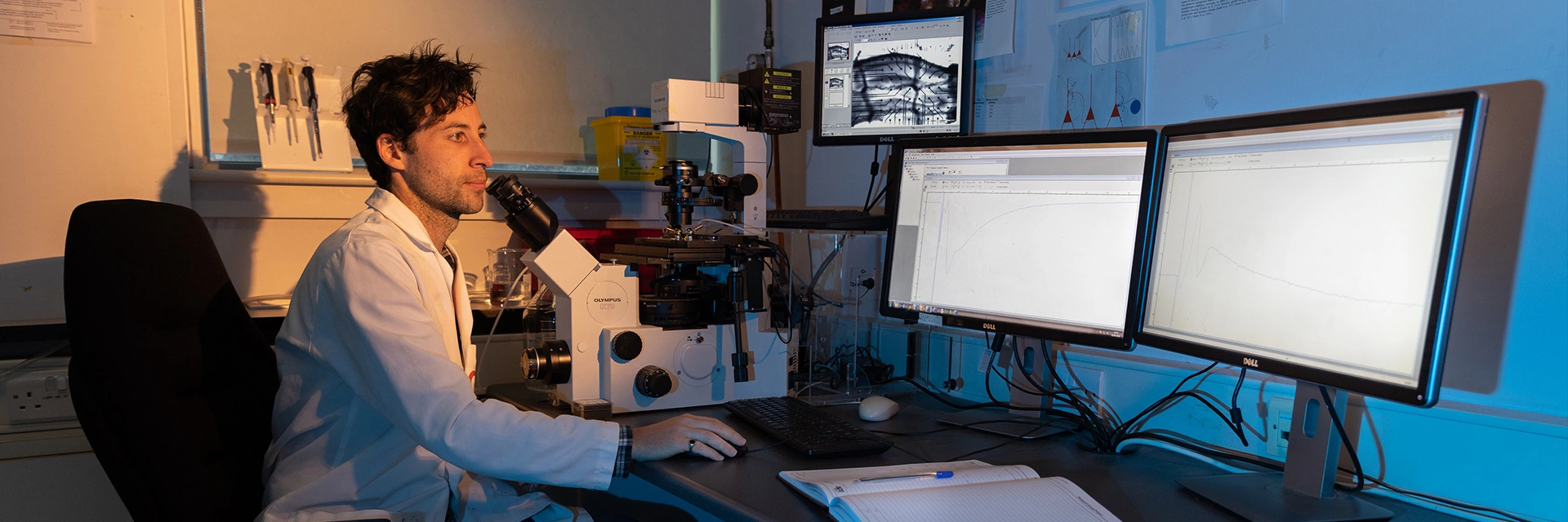 researchAndInnovation.webp