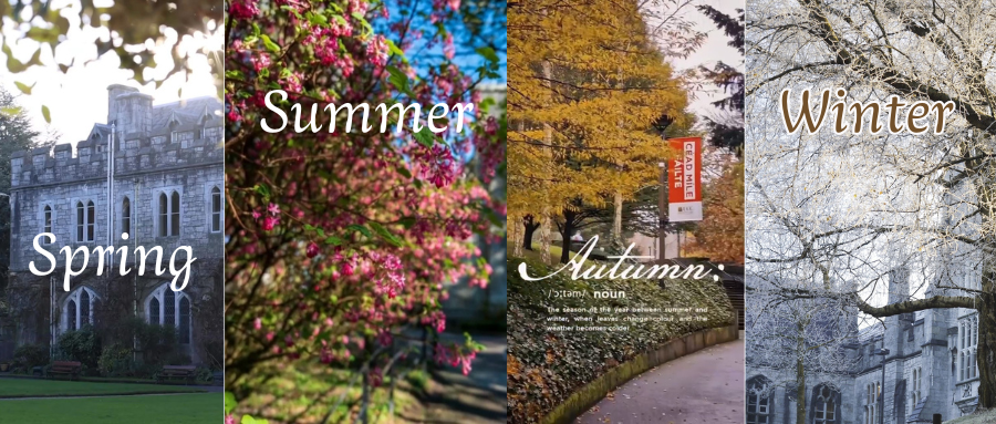 四季中的UCC校园风光美不胜收