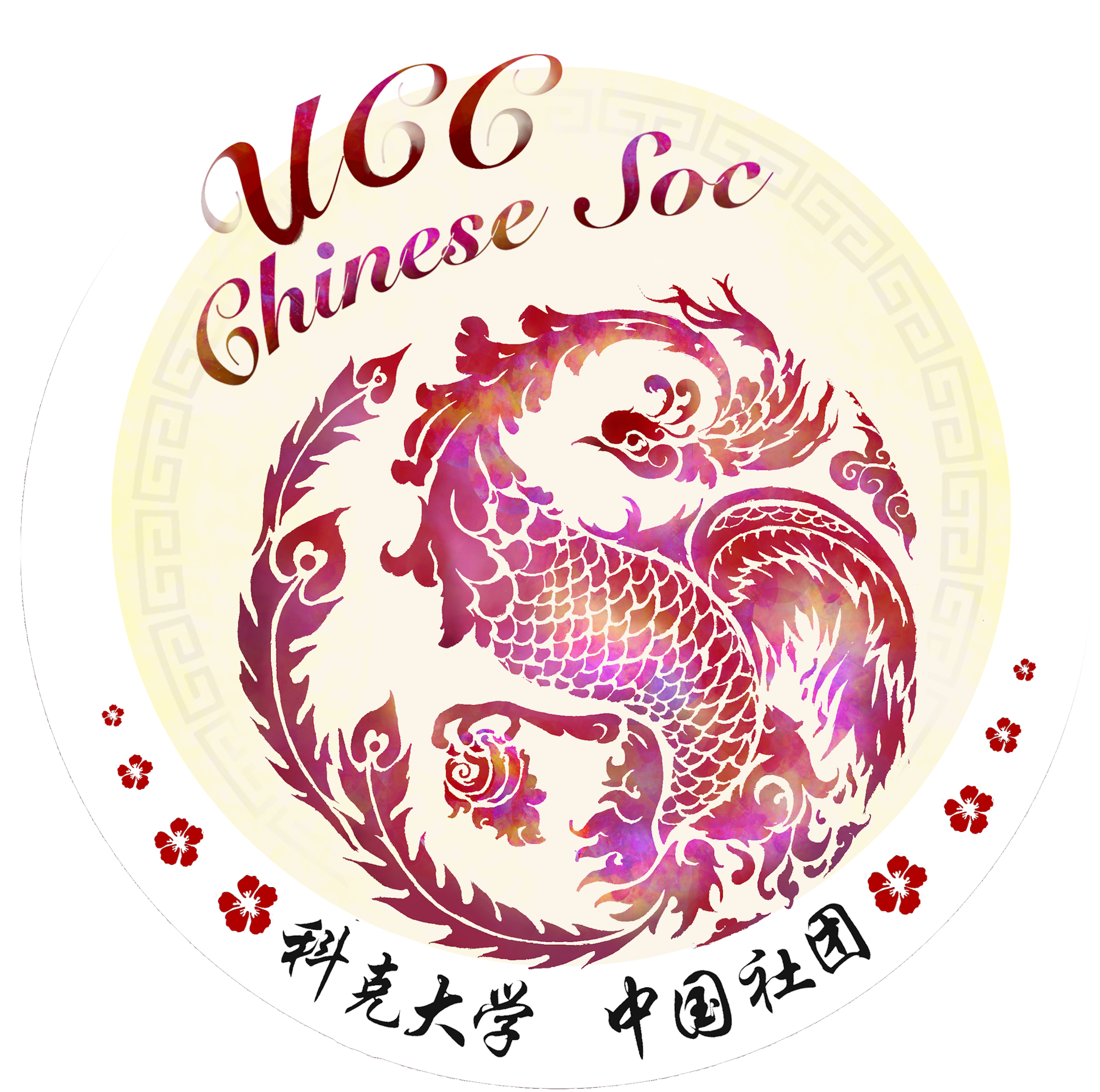 爱尔兰留学_爱尔兰留学申请_欧洲留学-爱尔兰国立科克大学官网