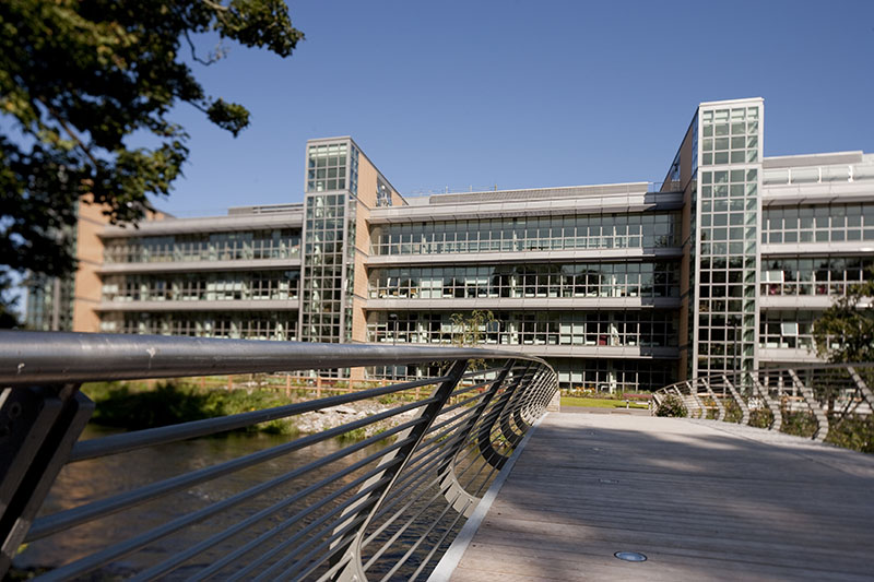 爱尔兰留学