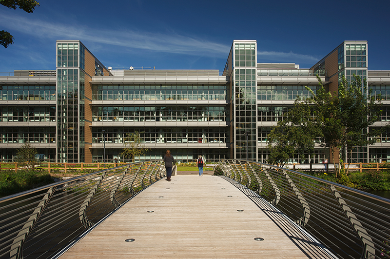 爱尔兰国立科克大学,爱尔兰国立科克大学全球排名
